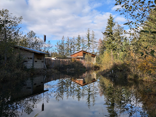 wetland habitat on the MARS site