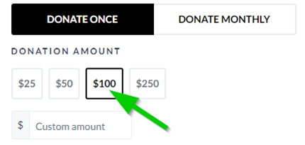 screenshot of the Canada Helps donation page