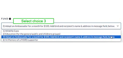 screenshot of the Canada Helps donation page