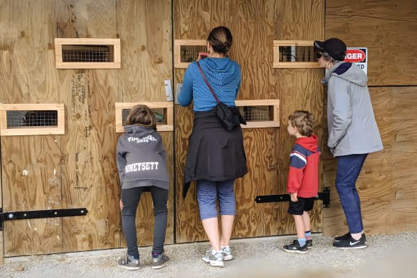 visitors watching a bird in the flight pen during a tour
