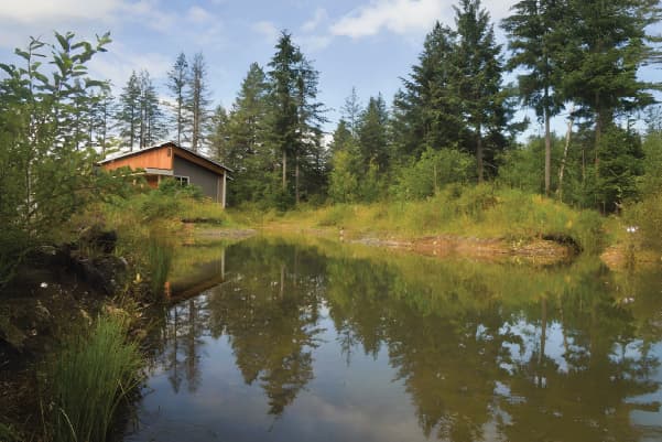 MARS wetland habitat