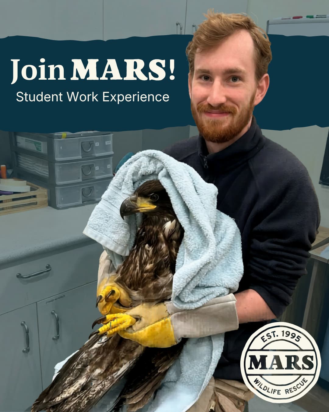 Student work experience