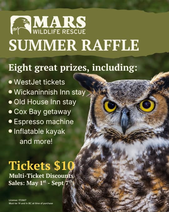 MARS Summer Raffle